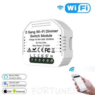 tuya app diy 2 gang wifi luz led dimmer módulo interruptor control remoto fortunely.co