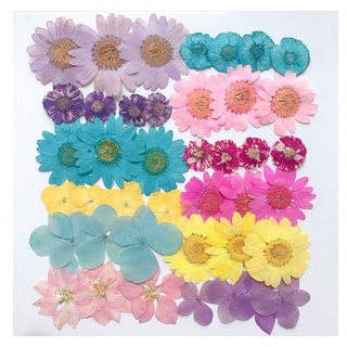 Mixed Natural Pressed Dried Flowers Embellishments for DIY Accessories (5)