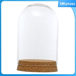 cubierta decorativa de cristal transparente cloche campana tarro de exhibición con base de madera rústica mesa central de mesa domo terrario contenedor (1)