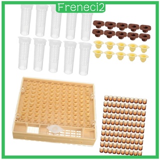 [Freneci2] sistema de cría Queen cultivando la caja de apicultura de la jaula de la copa de la célula (5)