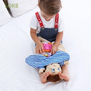 SORB Soft Toy Anatomy Doll New Model Puzzle Dolls Anatomical Internal Organs Early Education Human Torso Body Science Teaching Educationa Organ Structure Cognition