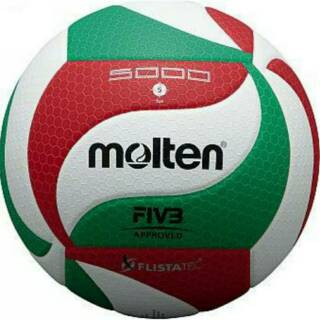 Volley Molten V5 M5000 bola