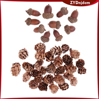 40 Pieces Natural Pine Cones Acorns Dried Table Ornament for Home Decoration