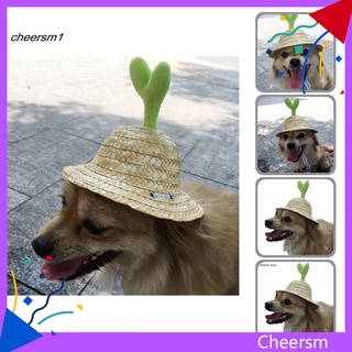 cs práctico sombrero de mascota encantador brote sombrero de paja sunhat uv resistente para perro