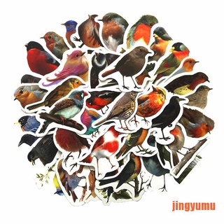 【jingy】40Pcs/set Robin Birds Decorative Stickers Adhesive Stickers DIY Diary Sta