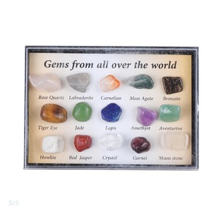 Scli 15 Pieces Rock Gemstones Collection Box Quartz Crystal Natural Mineral Specimen (1)