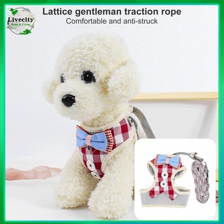 Livecity collar decorativo para cachorros cachorros Pet caminar Harness/ropa ajustable para mascotas suministros De mascotas