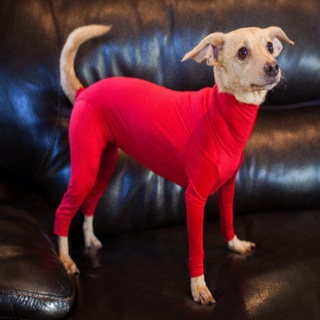 [Lamourni] paño de perro de moda caliente para perros, tela de invierno, chaleco para mascotas