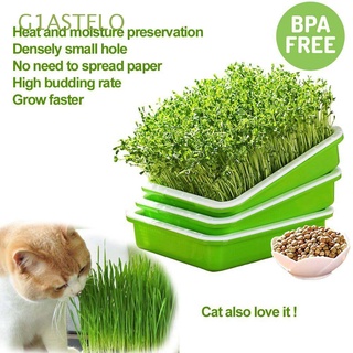 G1ASTELO Durable Gardening Tools Harmless Soilless cultivation Seedling Tray Wheatgrass Plastic Encryption Natural Homemade Double-layer Hydroponic Vegetable/Multicolor