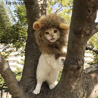 para mascota perro sombrero disfraz de león melena peluca para gato halloween vestir con orejas.