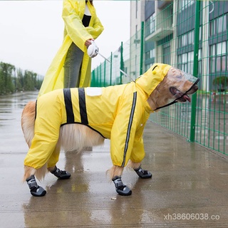 ❤️😘🌞Perro todo incluido chubasquero de cuatro patas impermeable Golden Retriever Labrador Samo mediano grande perro día de lluvia ropa para mascotas🌞😘❤️ ExSg
