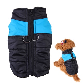 pequeña chaqueta impermeable para perro, invierno, acolchado, acolchado, ropa para mascotas (6)