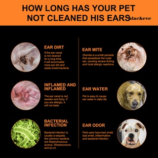 Be-Pet gato perro ácaros eliminar gatito cachorro oreja gota Canal limpiador piel cuidado de la salud (8)