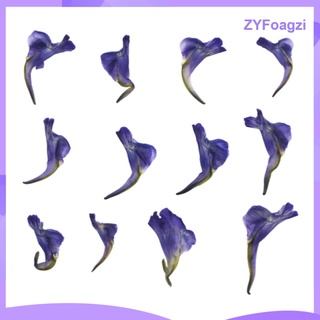 12 Pieces Of Real Dried Leaves Handmade Pressed Flower Dried Flowers For (1)
