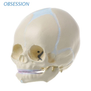 Se 1: 1 bebé bebé bebé niño cráneo médico Anatomica Esqueleto Modelo enseñanza suministros Para medicina ciencia