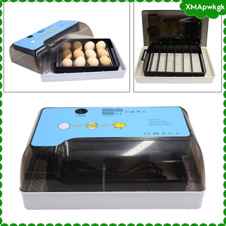 incubadora digital de huevos incubadora control de temperatura giro automático (1)