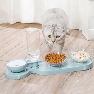 club perro alimentador cuencos mascotas gato doble comida tazón kit con dispensador de agua (1)