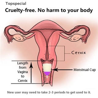 [topspecial] copa menstrual suave reutilizable para mujeres/copa menstrual médica 100% de silicona.
