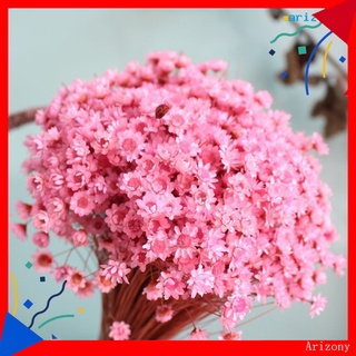 arizony 30Pcs Dried Flowers Long Lasting Anti Allergic Natural Vivid Gypsophila Dried Flowers for Home (1)