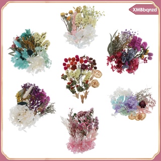 Bulk Real Dried Flowers Pressed Leaves Embellishments for Nail Art Decors