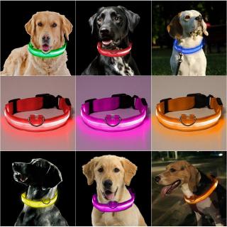 lindo collar led para perro/gato/perro/mascota/seguridad nocturna/collar brillante intermitente