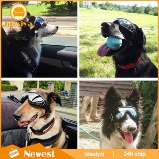 [Blesiya] Gafas De Perro Unisex Mascota Para Grande Protección Contra El Polvo Sol Desgaste De Ojos