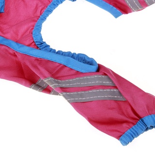 [0824] Pet Fashion Raincoat Lace Spring And Summer Pet Raincoat Fashion Comfortable (1)