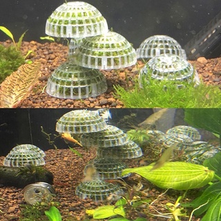 acuario peces tanque de medios de musgo bola filtro decoración para plantas vivas peces acuáticos adorno
