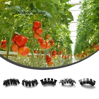 [aff] 50 pzs soporte plástico para tomates/clips de refuerzo para plantas/clips/clips de refuerzo/ramas/clips de flores finas/atractivos