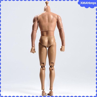 1/6 cuerpo sin costuras masculino con esqueleto de acero inoxidable modelo 12" figura