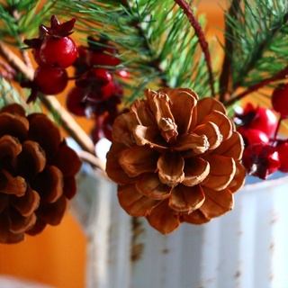 Suer Craft decoración del hogar pino cono Shopwindow decoración de navidad DIY agujas de pino Artificial simulación rama de pino (7)