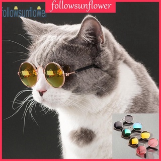 fo gafas de sol para mascotas pequeñas/gatos/gatos/gatos/lentes de sol/fotos/accesorios/suministros para mascotas