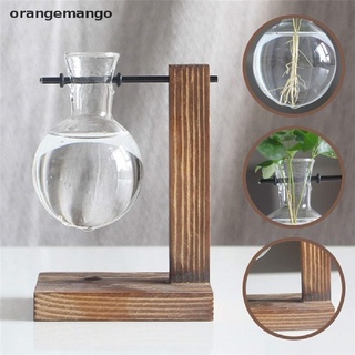 orangemango hydroponic plant jarrones vintage maceta de madera marco de vidrio decoración del hogar bonsai co