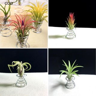 [COD] 6 Pcs Flower Pot Stainless Steel Air Plant Stand Container Tillandsia Holder HOT