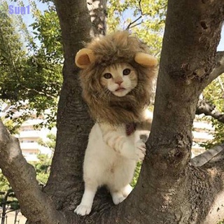 Sun1> mascota perro sombrero disfraz de león melena peluca para gato Halloween vestido con orejas