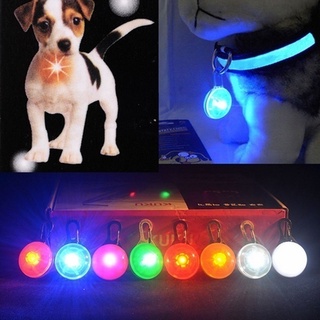 Collar de linterna LED para mascotas/Collar de seguridad nocturna para perros/gatos/luces con colgante brillante para mascotas (2)