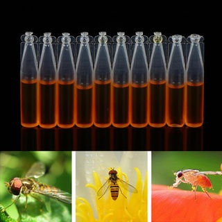 fang 10 botellas greenway fruit fly trap natural liquid attractant kid and pet safe. (1)
