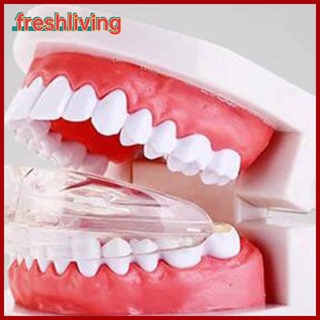 【freshliving】Dental Tooth Orthodontic Appliance Trainer Dental Braces Teeth Trainer