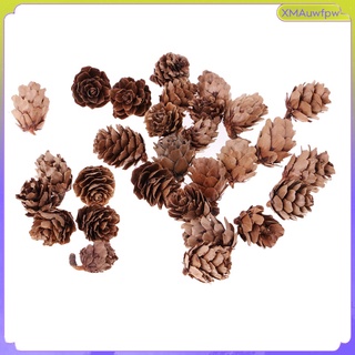 30 x pequeños conos de pino seco natural en flores secas a granel para (8)