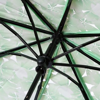 Paraguas transparente transparente flor de cerezo hongo Apollo Sakura 3 pliegues paraguas (5)