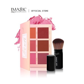 IMAGIC 6-color Professional Makeup Blush Makeup Brush Set / Gentle And Elegant Style