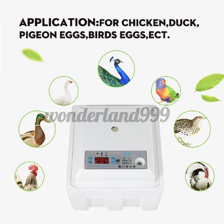 incubadora de huevos 20 unids/50pcs incubadora de cama de agua de plástico incubadora automática pequeña incubadora de cama de agua de pollo pato ganso paloma pavo real incubadora (4)