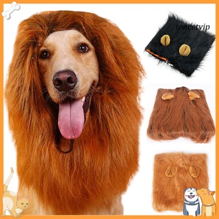 ptimistica-mascota disfraz divertido león melena peluca sombrero sombrero de halloween festival decoración para perro (1)