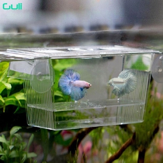 gulilong caja de separación acrílica incubadora caja multiusos joven peces caja de cría incubadora