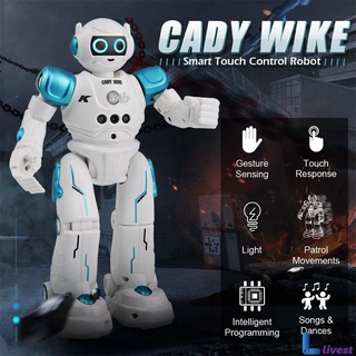 Control Remoto Inteligente Robot , Detección De Gestos Programación , Baile Cantando Caminar RC Juguete livestt