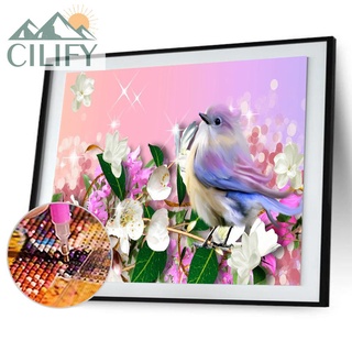 Cilify 5D DIY broca redonda completa diamante pintura arte pájaro (2)