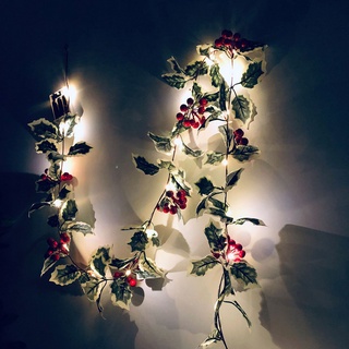 2m 20led de navidad cadena de luces de ratán rojo baya led luces de cobre para boda árbol de navidad decoración de fiesta (1)