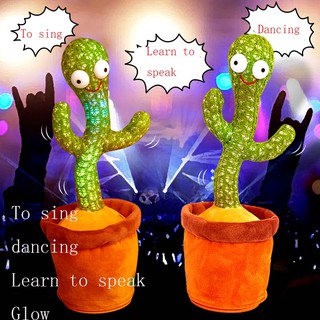 Danc cactus: 120: cactus cactus que bailan, pueden cantar, aprender a