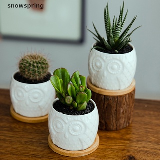 snowspring suculenta maceta mini cerámica suculenta maceta cactus maceta con drenaje co (4)