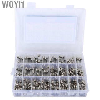 woyi1 360pcs fusibles de tubo de vidrio quick blow 250v kit de surtido electrónico para electrodomésticos automóviles